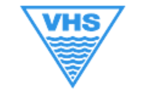 VHS